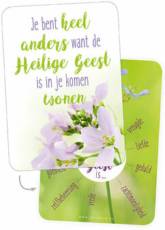 | Minikaartjes opbouwend - Gemengde set